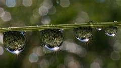 Après la pluie (3).jpg