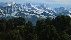 Automne Gruyère (1).jpg