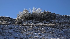 Givre Rochers de Naye 211015 (1).JPG