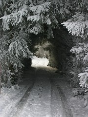 Neige et givre Puidoux (8).JPG